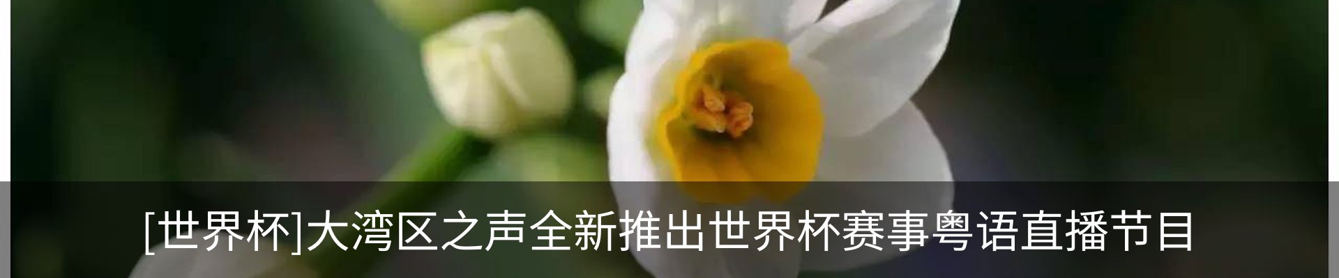 资讯动态
